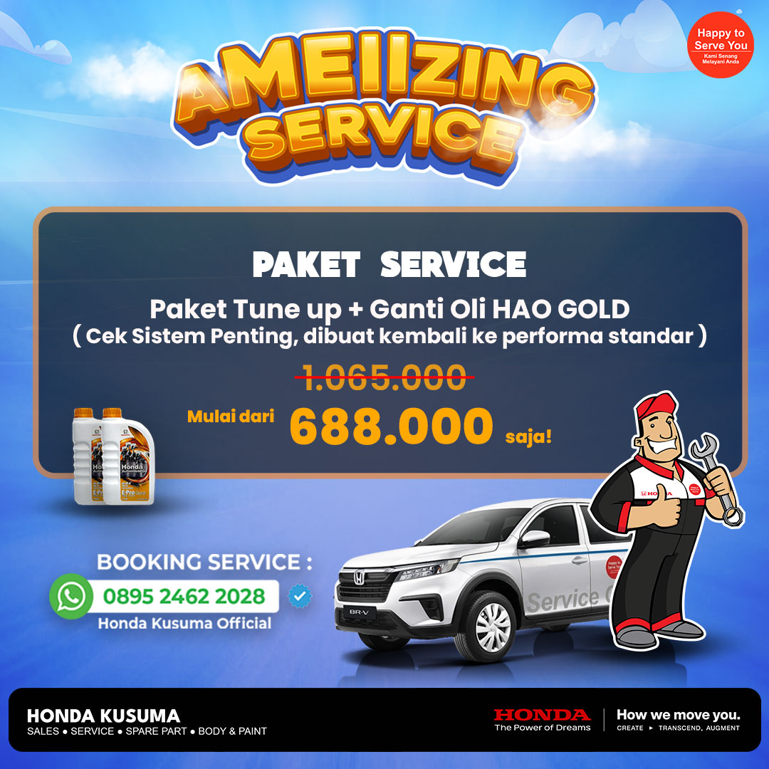 Promo Service AMEIIzing